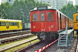 image-9.webp