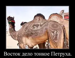 image(4).webp