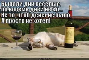 image-8.webp