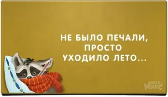 image-9.webp