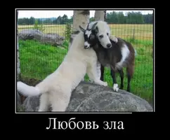 image(5).webp