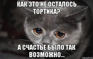 image-16.webp