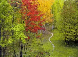 image(8).webp