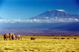 image-11.webp