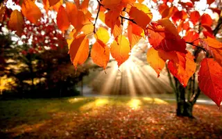 image-30.webp
