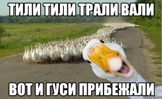 image-13.webp
