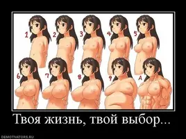 image-9.webp