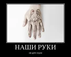 image-9.webp