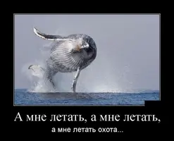 image-3.webp