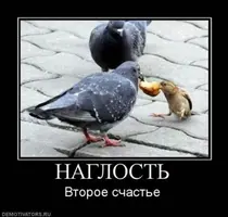 image-7.webp