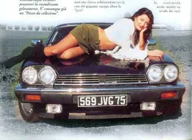 image-7.webp