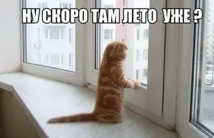 image(14).webp