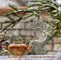 8D556AD5-646E-49FE-975B-80C236DDDC44.webp