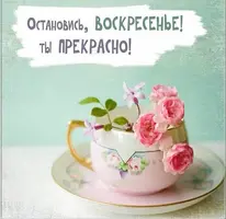 FE2C3BC9-091A-4AF2-B6D6-9BF6D1CF95AE.webp