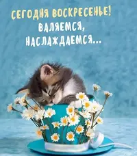 E1A7BB6E-E633-456B-A232-7609A5F84123.webp