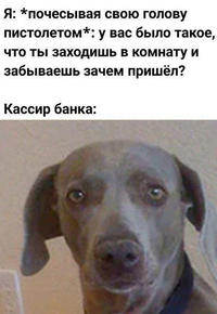 1703529035142981148.webp