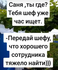 Screenshot_2023-12-27-15-54-40-48_1c337646f29875672b5a61192b9010f9.webp