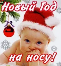 538A3696-08CB-4666-9091-ED2B22629923.webp