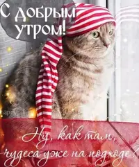 D91F3254-92D3-44BC-9C70-1381C972E632.webp