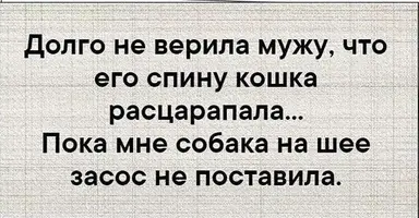 IMG_0727.webp