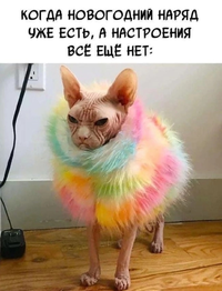 Screenshot_2023-12-28-18-09-32-43_68e74cc0265513bba3f4cf8e2c9891fe.webp