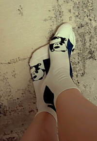 ng.webp