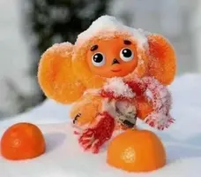 7D2D44FB-A8D0-4FC6-8858-25D94C312907.webp