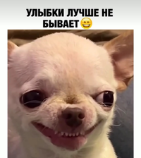 Screenshot_2023-12-30-14-40-24-84_1c337646f29875672b5a61192b9010f9.webp