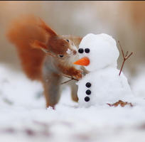 Screenshot_2023-12-29-14-03-18-69_1c337646f29875672b5a61192b9010f9.webp