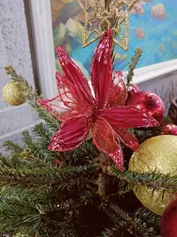 20231230185301.webp