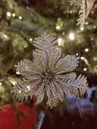 20231230185508.webp