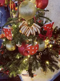 20231230185617.webp