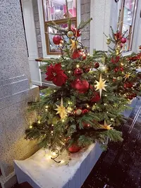 20231230185311.webp