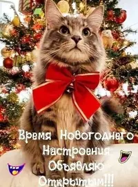 i (3).webp