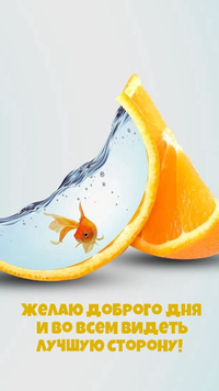 dobrogoutra_ru_10182.webp