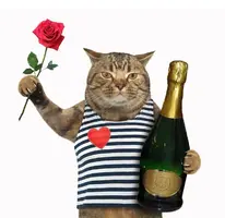 05TlrcGElOU.webp
