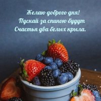 dobrogoutra_ru_10626.jpg