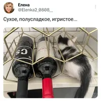 20240101_183930_949.webp