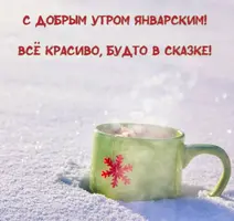 98A6479E-0EC9-43DC-B8D6-756BD13E44B0.webp