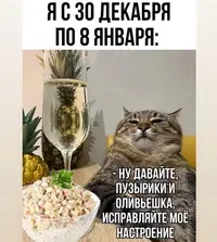 imgonline-com-ua-Resize-Wc8vNRtBS08dnMNH.webp