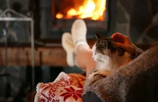 349E9435-B136-48ED-8DF4-59187DFCAC07.webp