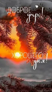 20231222_220712_788.webp