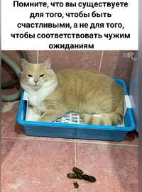 Screenshot_2024-01-05-18-04-48-46_68e74cc0265513bba3f4cf8e2c9891fe.webp
