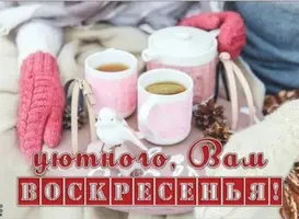 2335FD19-4C20-4E50-848B-D1CCD56C52EE.webp