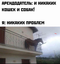 Screenshot_2024-01-07-17-25-22-97_1c337646f29875672b5a61192b9010f9.webp