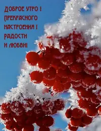 1811A0B4-8D19-4406-A556-9121C9D13FAF.webp