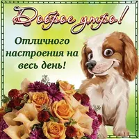 imgonline-com-ua-Resize-nnoCJONxG8jqx.webp