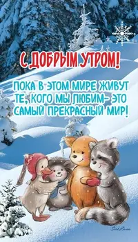 20231226_090550_814.webp
