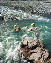 вода.webp