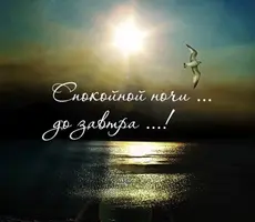 6577942C-903C-4DF6-958C-7D234F80724F.webp